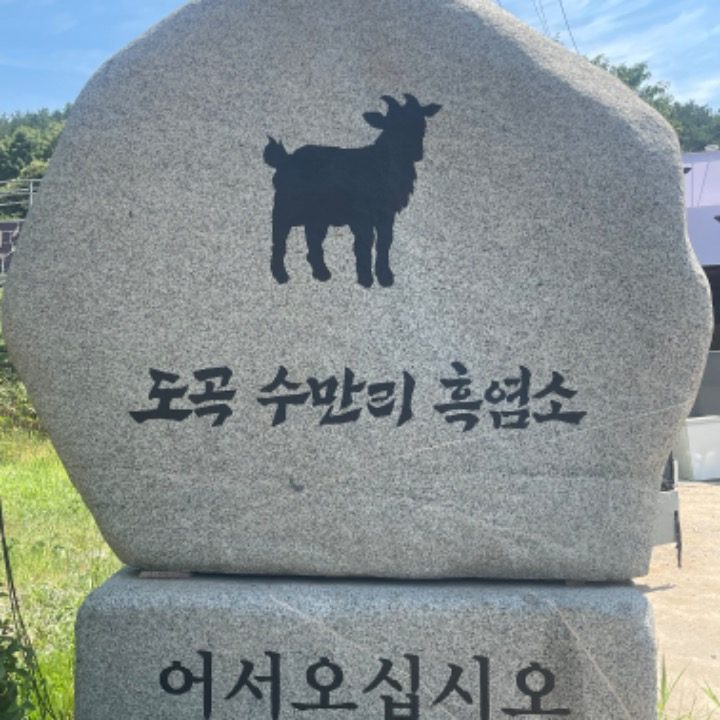 도곡 수만리흑염소