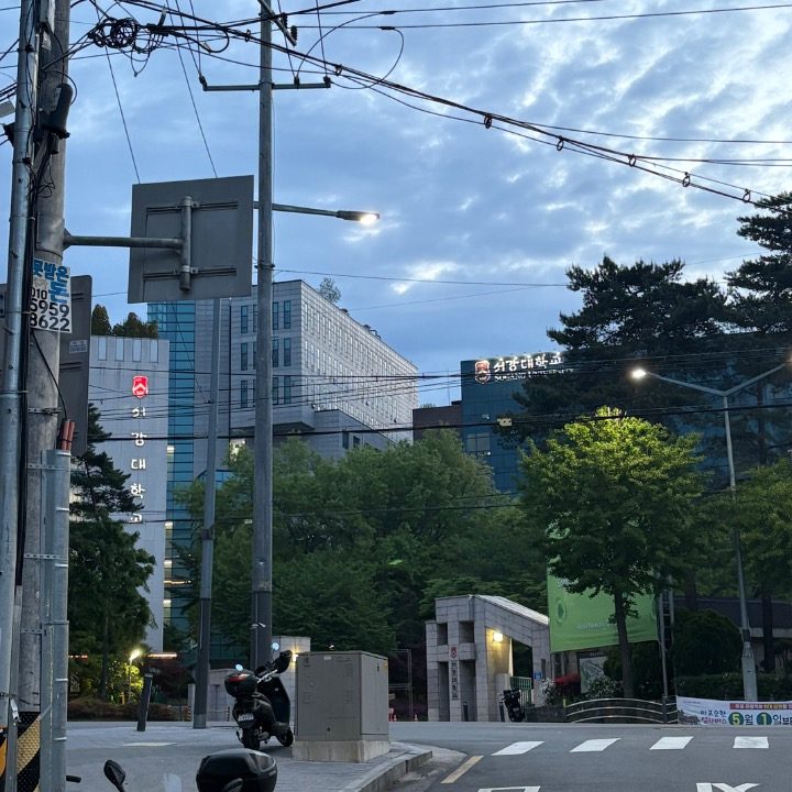 서강수학과학과외
