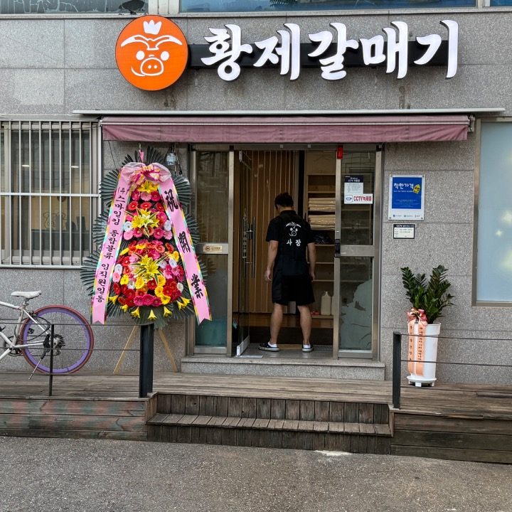 황제 갈매기