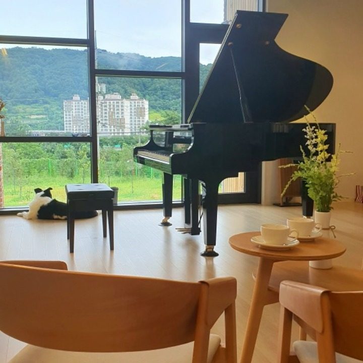 피아노레슨