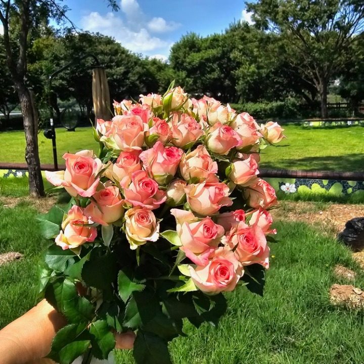 별2