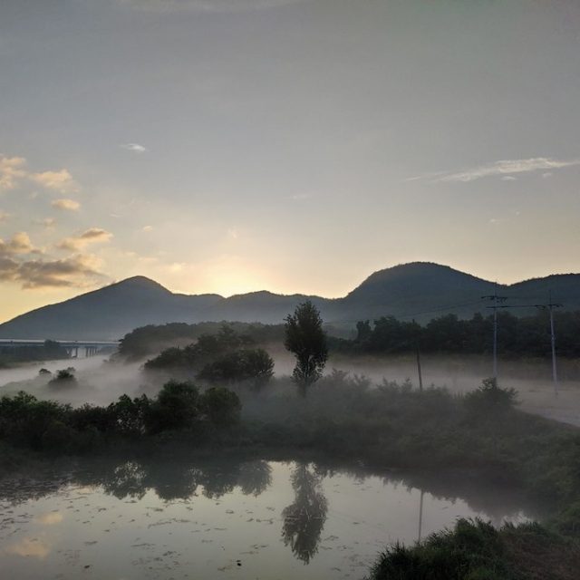 영천별빛농원