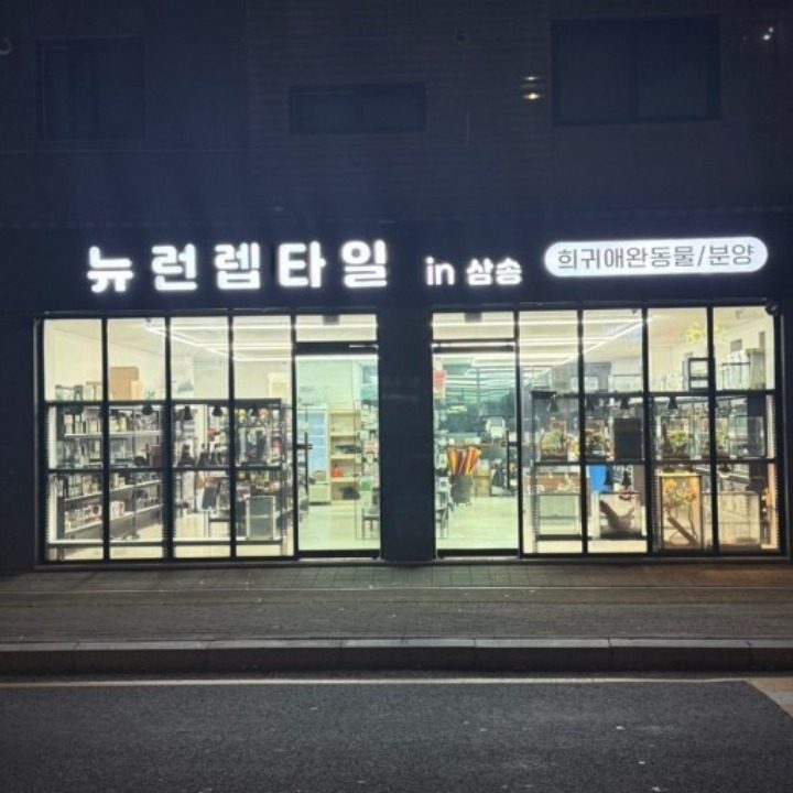 뉴런렙타일 in 삼송