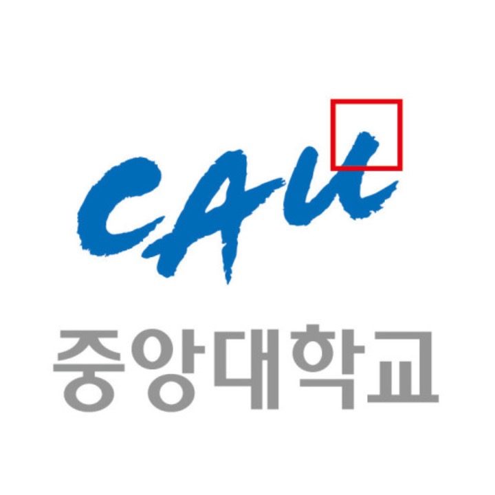 중앙대학교생 과외