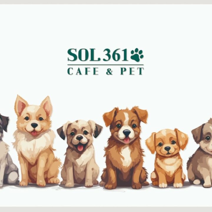 SOL361 CAFE&PET