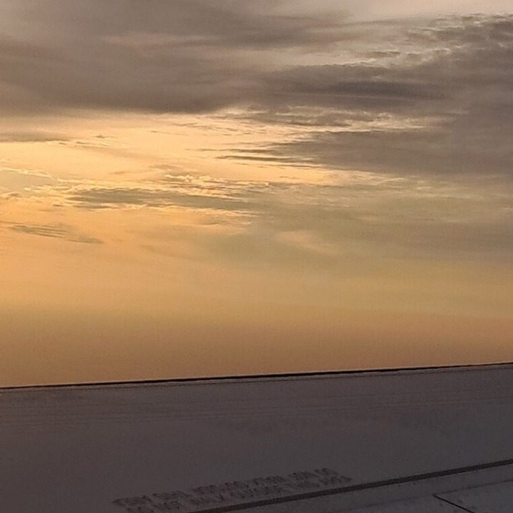 이사 배달 용달 퀵