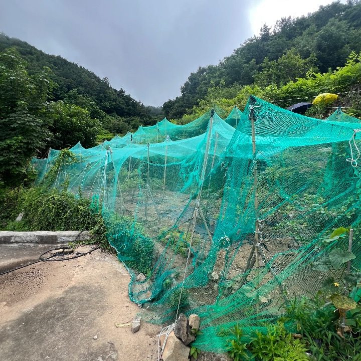 여수부동산