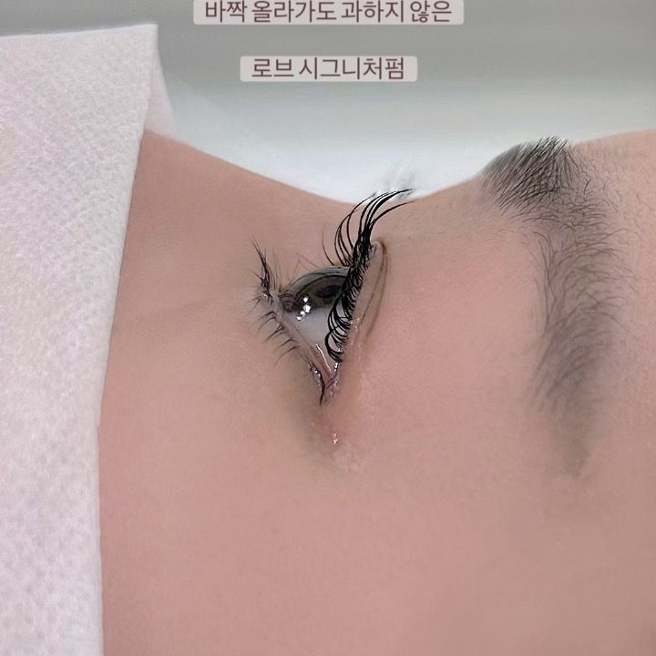 로브 아뜰리에
