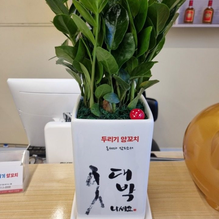 두리기양꼬치