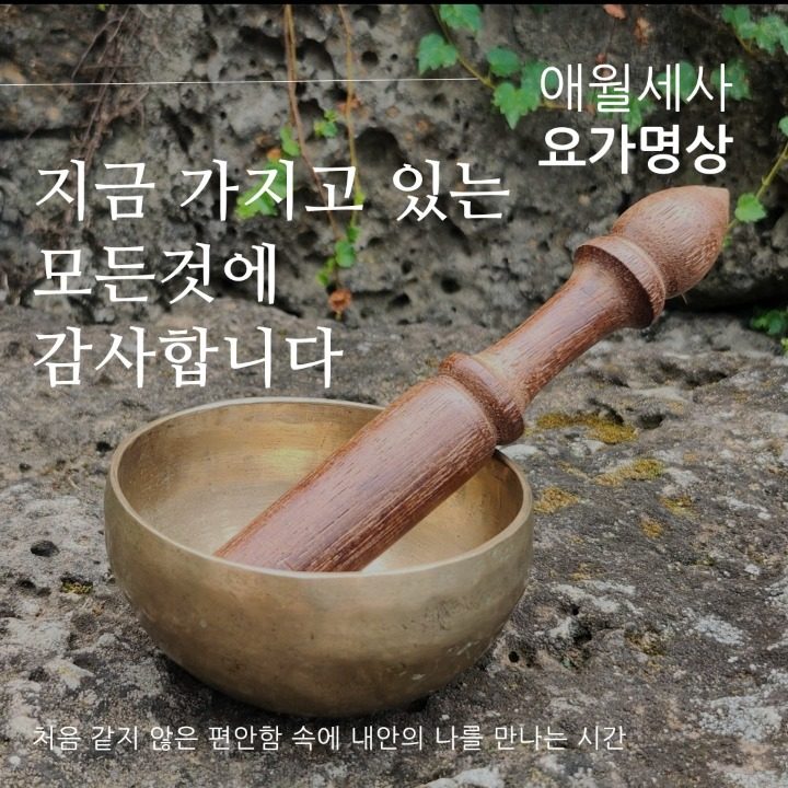 애월세사