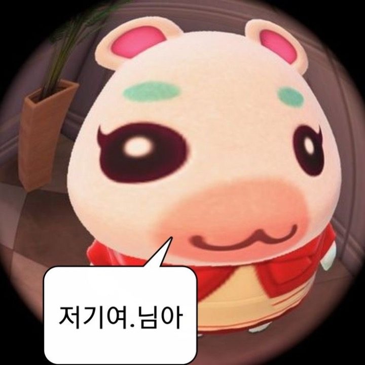 곰