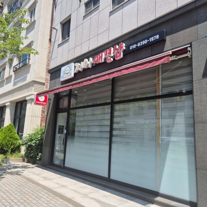 지아애견샵