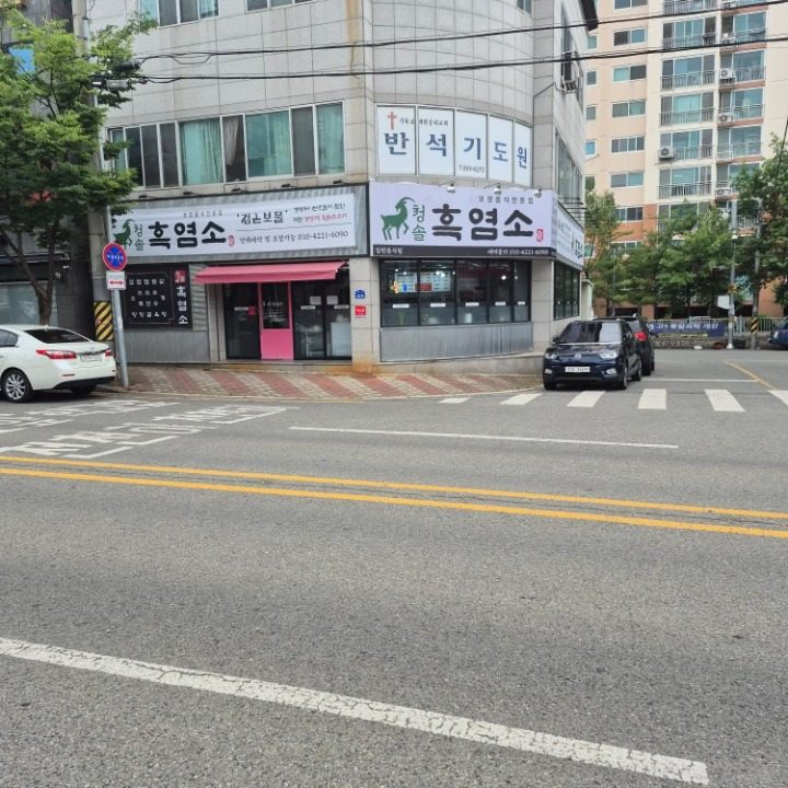청솔흑염소
