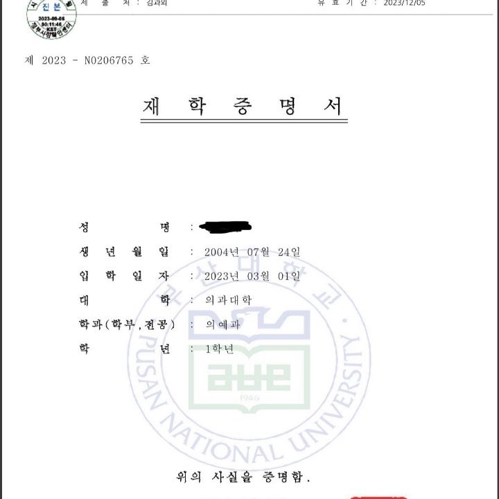 부산대 의대생 중고등 과외