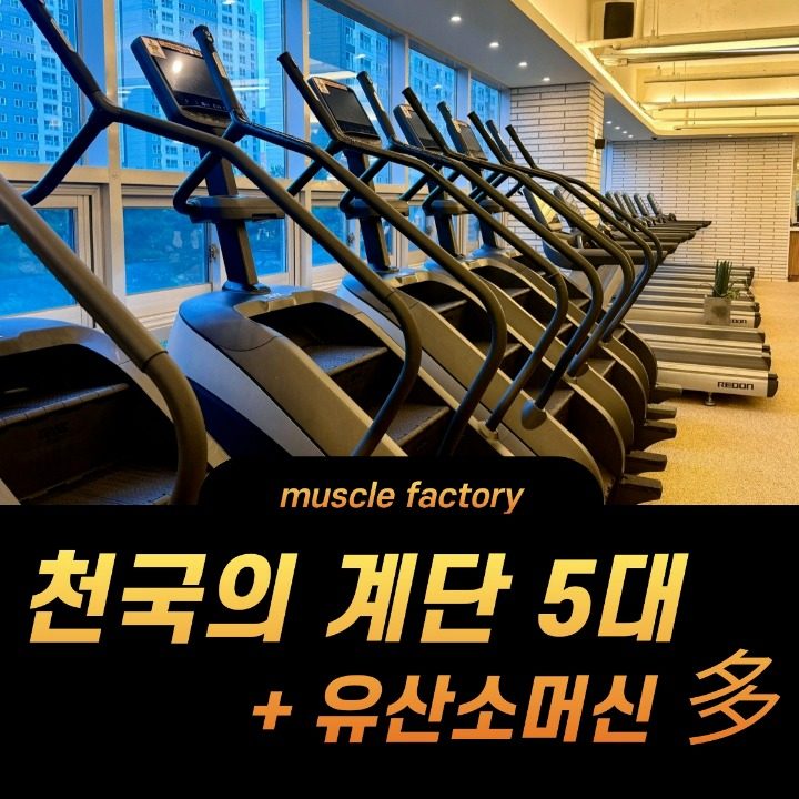 머슬팩토리&기구필라테스 율하점