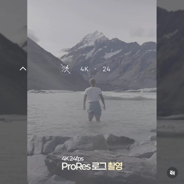 비비즈