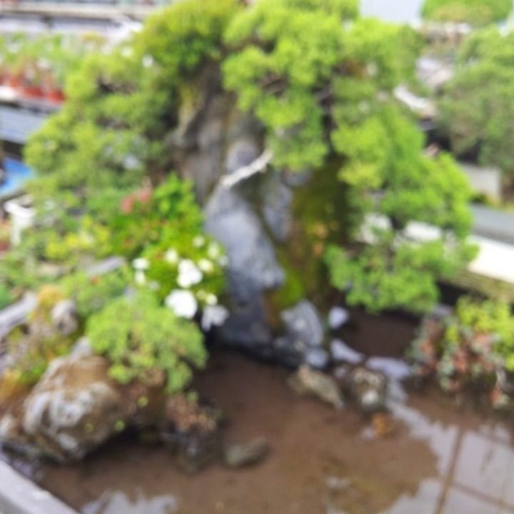 영남조경