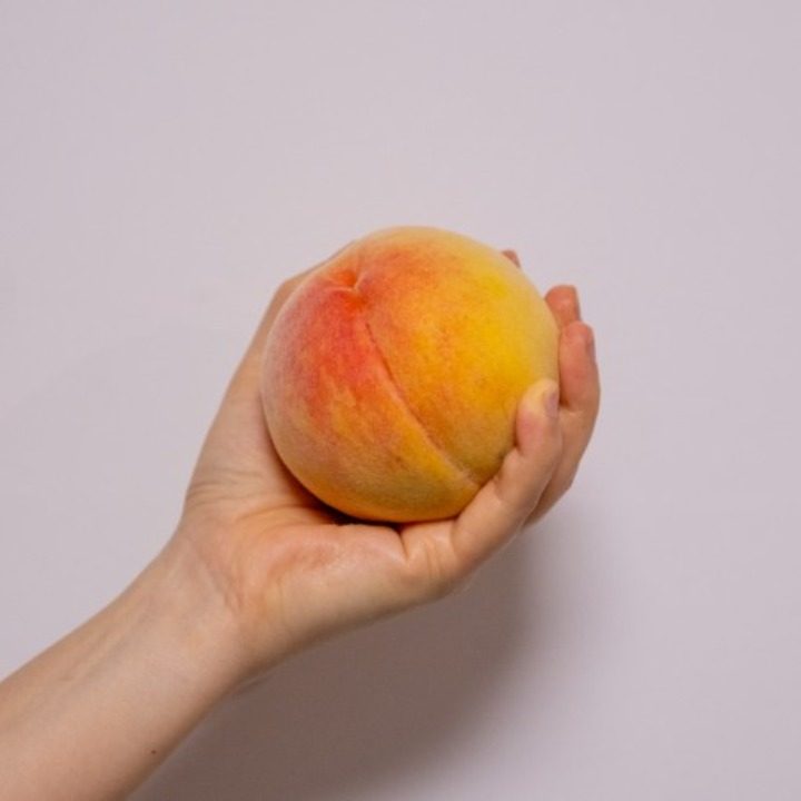 노엘푸드