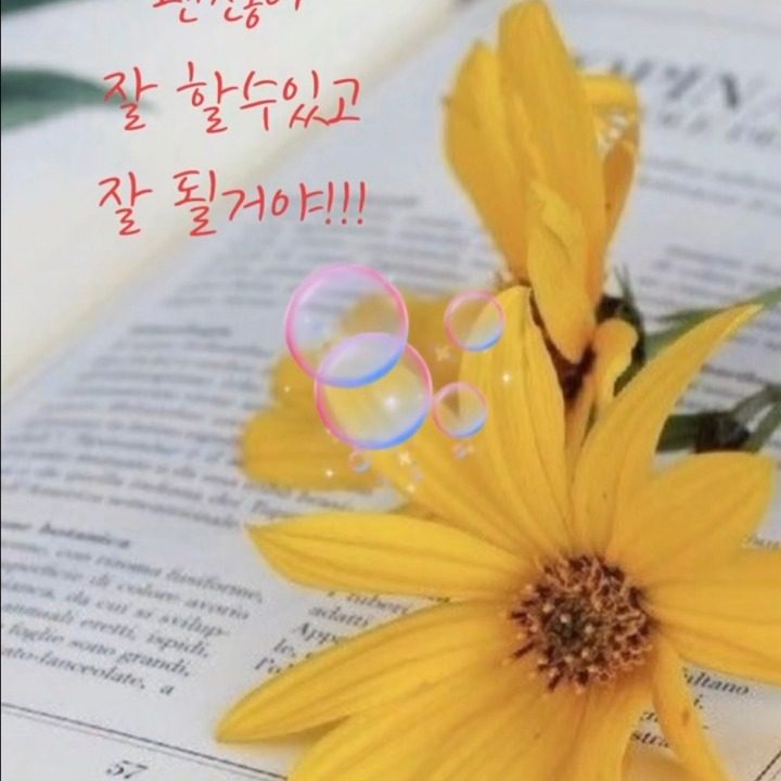 청소