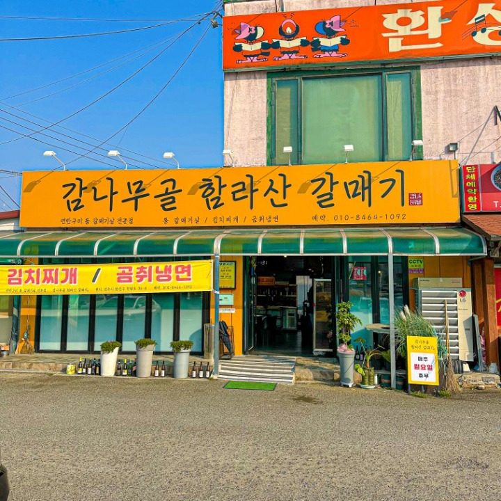 감나무골 함라산 갈매기