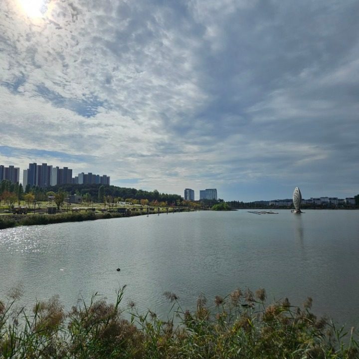 JY인터몰