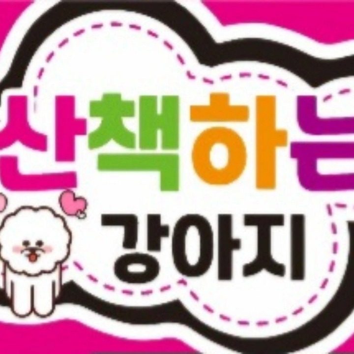 산책하는 강아지