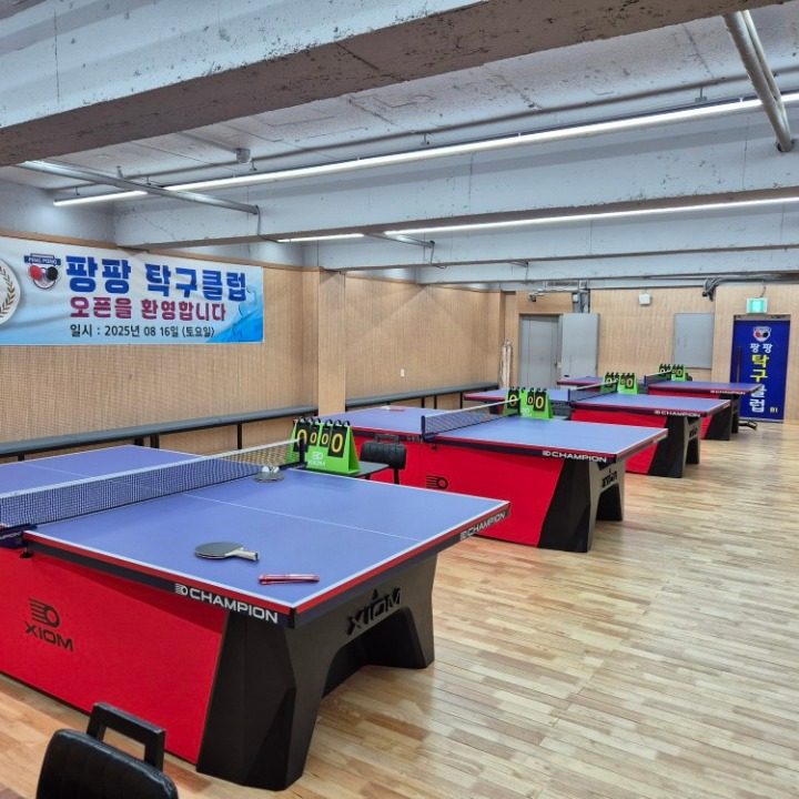 팡팡 탁구클럽