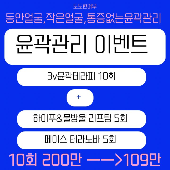 도도한 여우