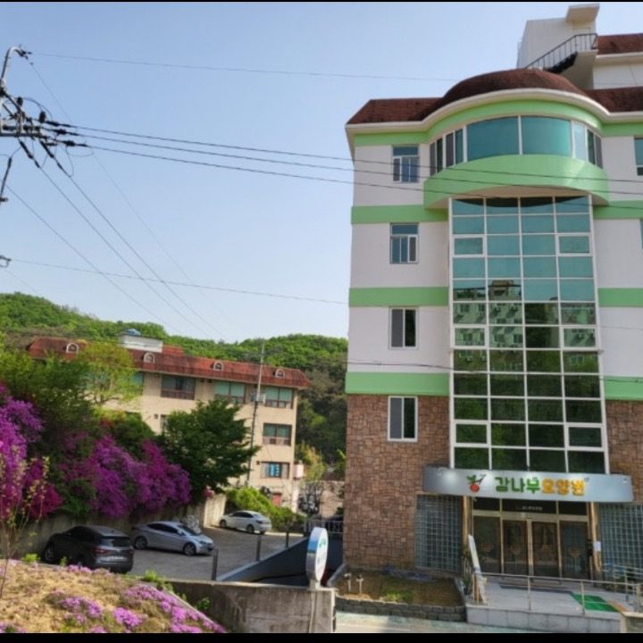 감나무요양원