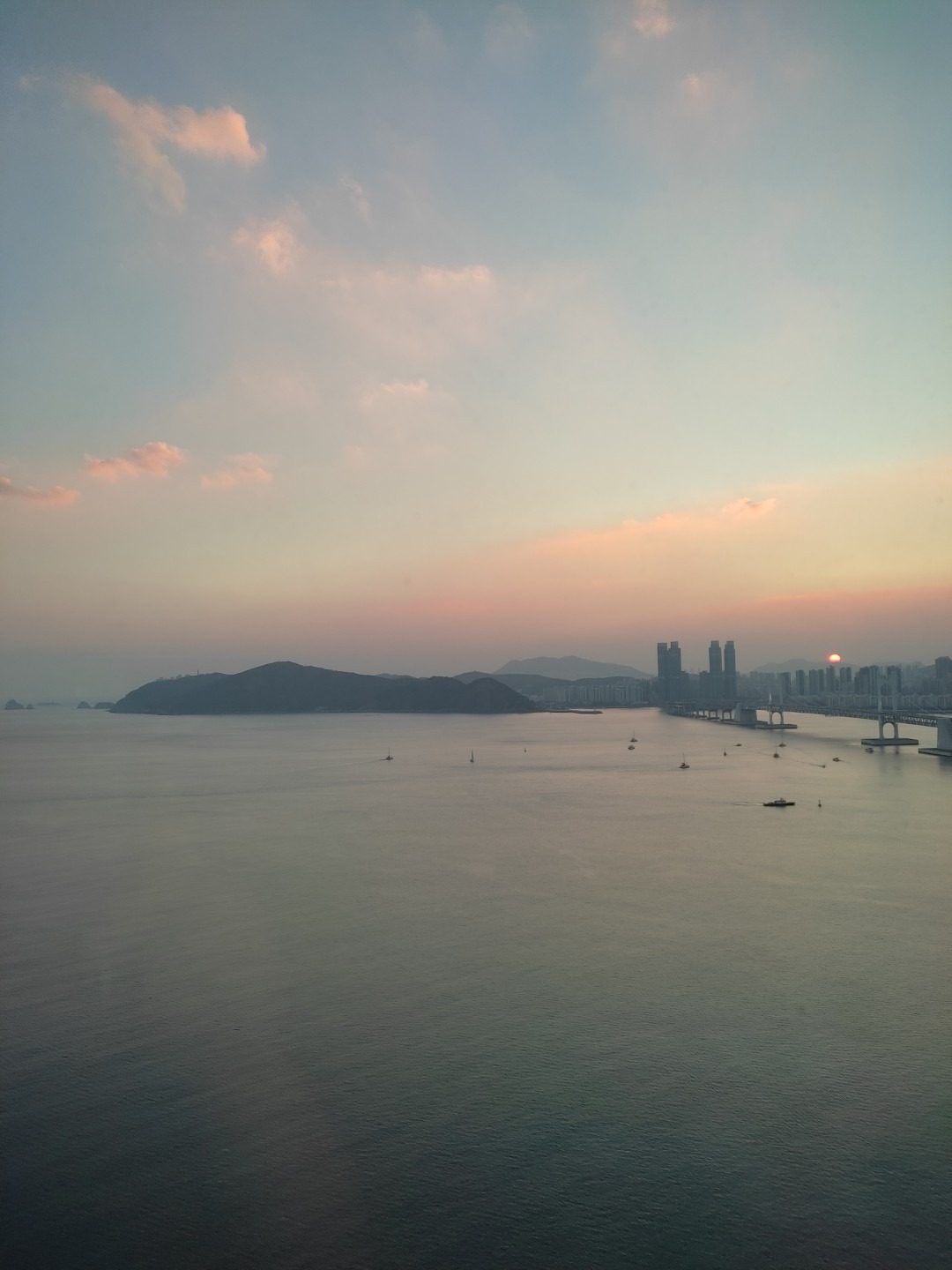 마린시티 강아지 산책 picture 1