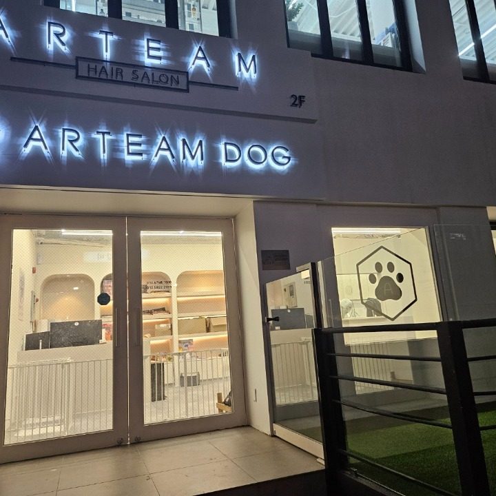 ARTEAM DOG