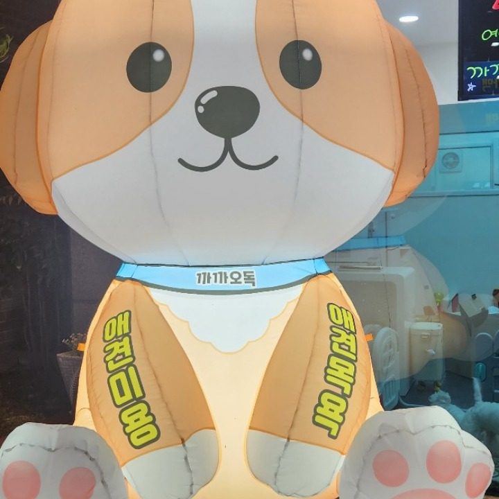 까까오독