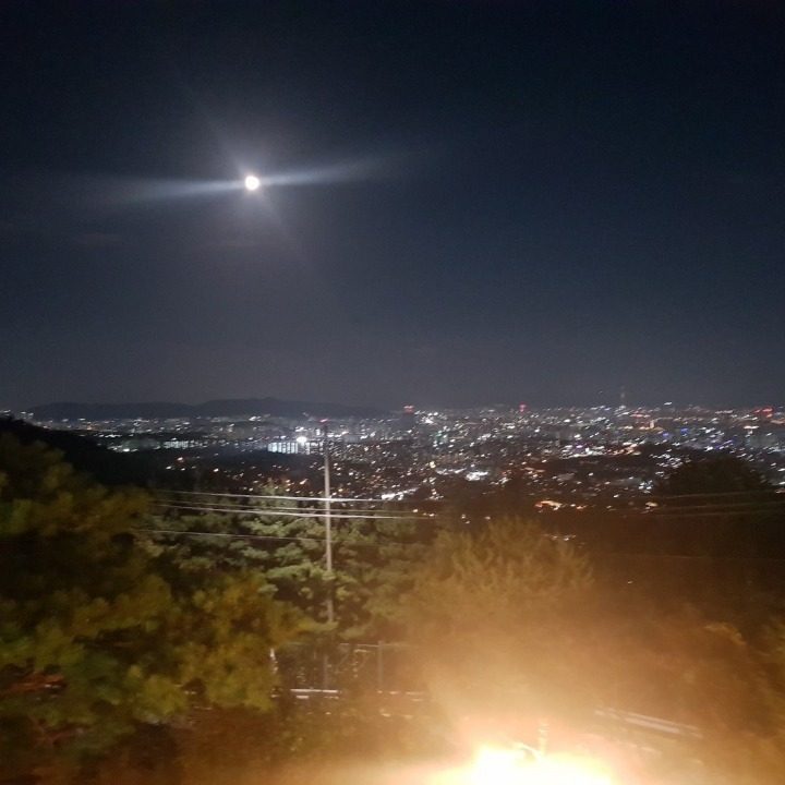 분양하는남자