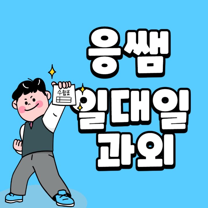 일대일 초중고 국영수과외