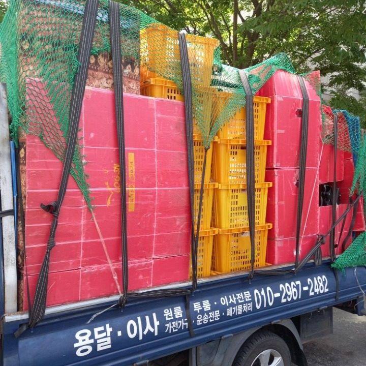 용달이사