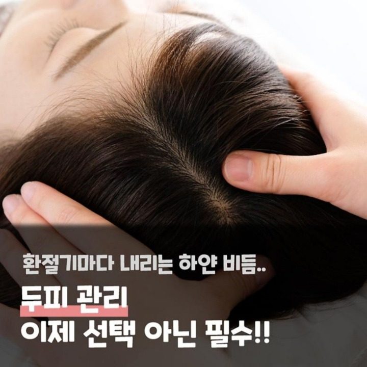 닥터시스셀클럽.두피탈모전문점
