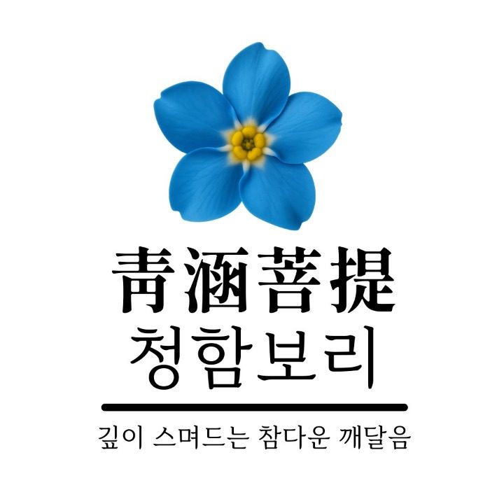 청함보리 사주타로