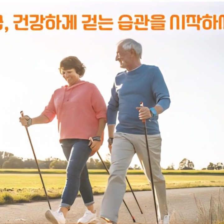 글로벌 노르딕워킹 협회