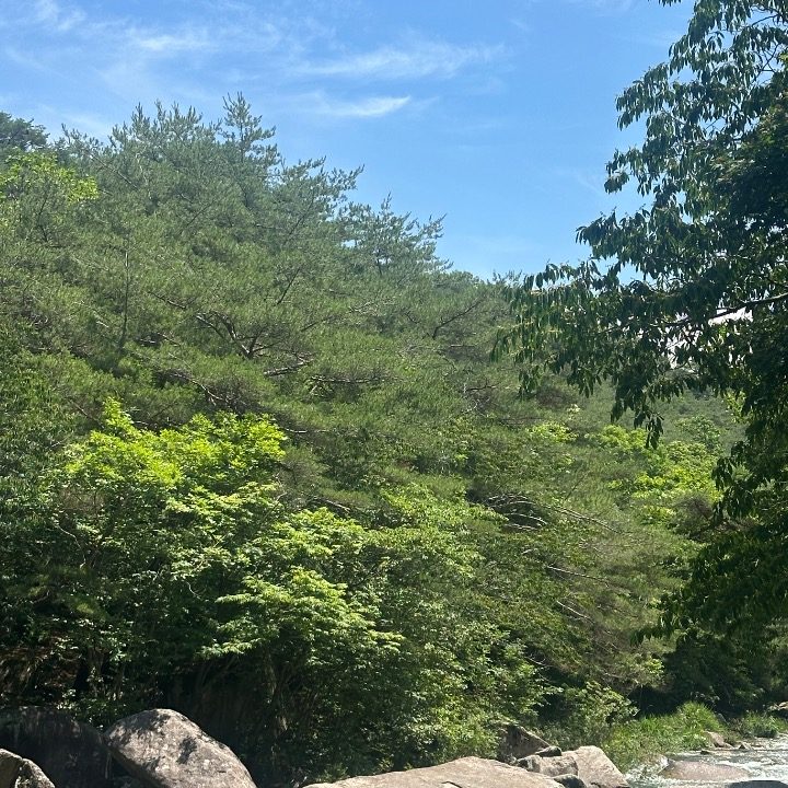 늘상