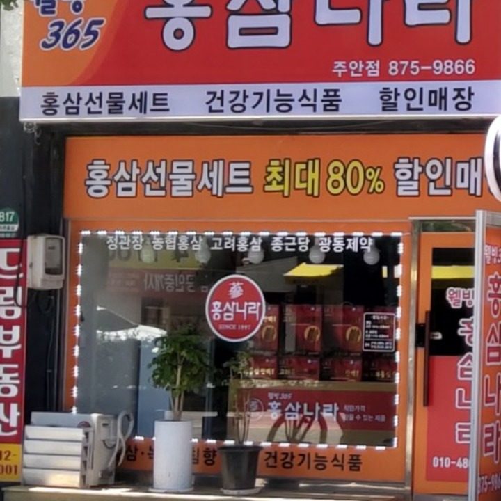 홍삼나라