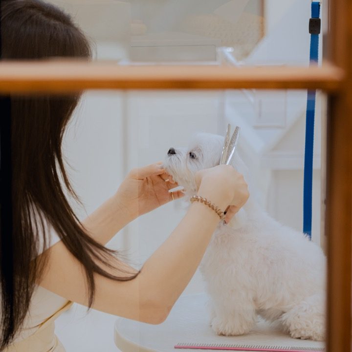 온리멈무