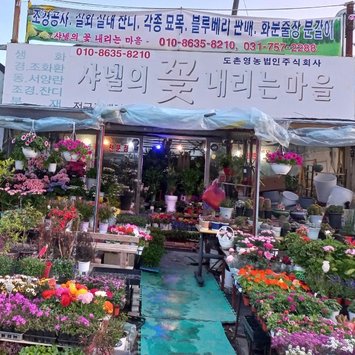 샤넬꽃내는마을