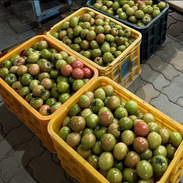 대동농수산