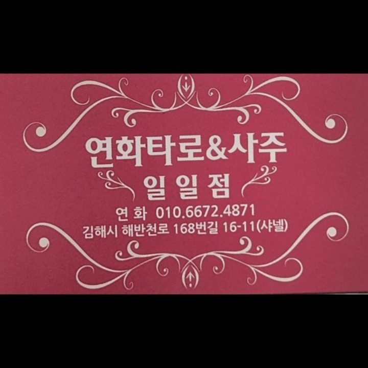 연화타로&사주