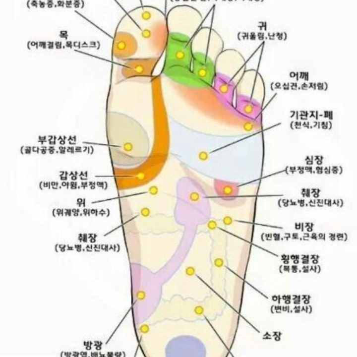 자세교정