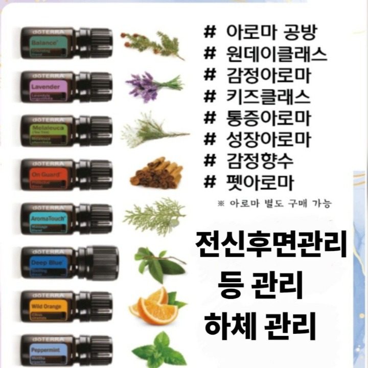 향기채움