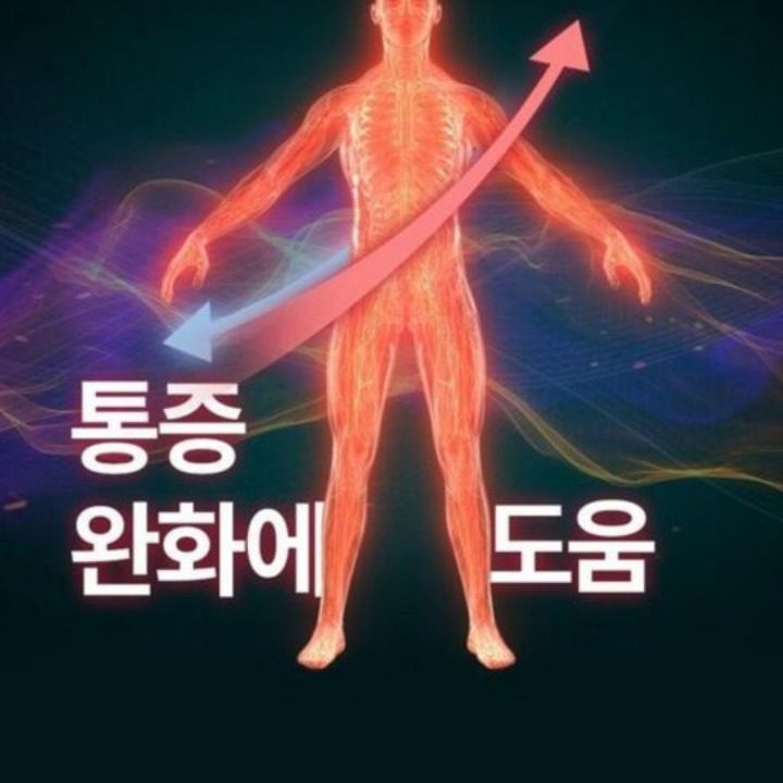 의료기기 자이글온네스트