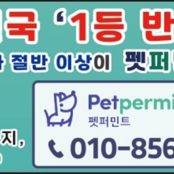 메리츠 반려동물보험