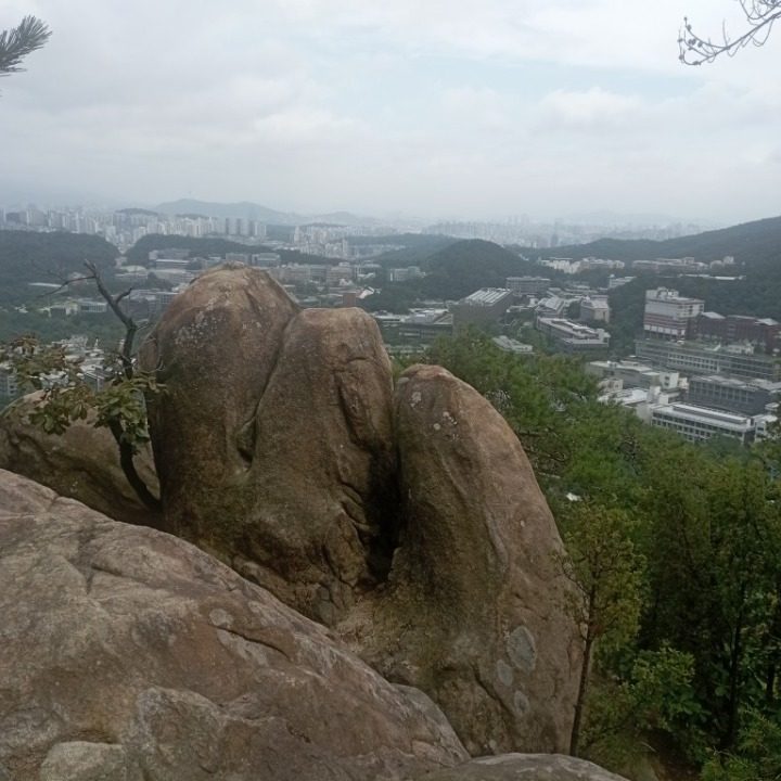 영어과외