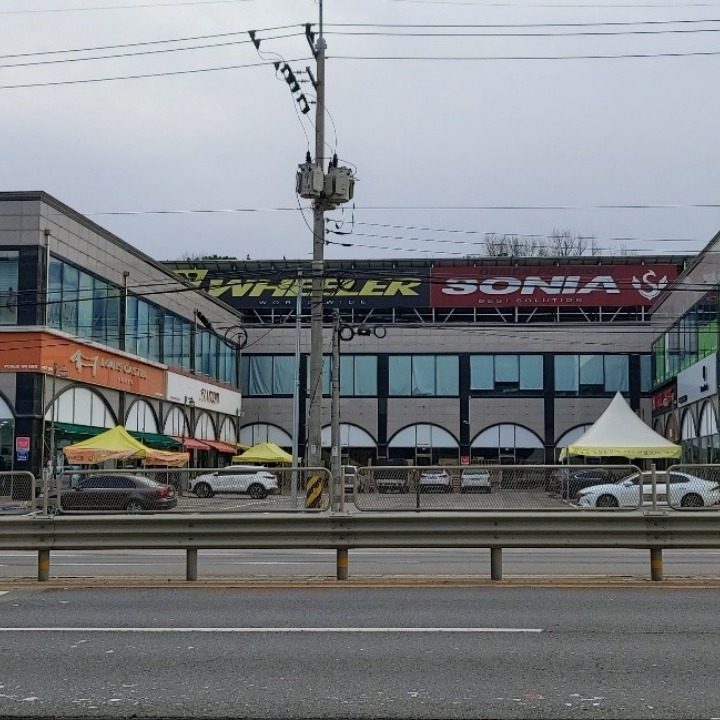 김보물